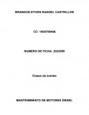 MANTENIMIENTO DE MOTORES DIESEL