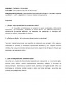 Topografía y Obras viales. Unidad # 3: Técnicas De Construcción De Pavimentos