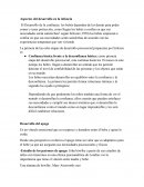 Aspectos del desarrollo en la infancia