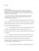 Tarea. Ha sido contratado como prevencionista de riesgos en una empresa