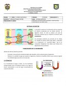 TALLER # 5 informatica
