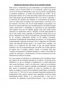 Opinión documentada reflexiva de la actividad realizada