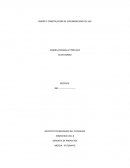 DISEÑO Y CONSTRUCCIÓN DE SUPERMERCADO DEL SUR