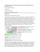 El nacimiento de una nuevo cohorte generacional occidental, la subordinación hacia la generación de cristal