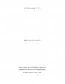 Actividad Resolucion de conflictos