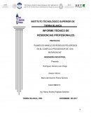 Plan de manejo residuos peligrosos en el Complejo Procesador de Gas Matapionche