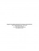 Integración del análisis situacional de la empresa y recomendaciones