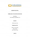 SOLUCIONES DE INGENIERIA S.A.S