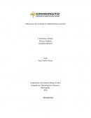 Aplicaciones de economia en establecimiento comercial