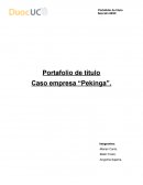 Portafolio de título Caso empresa “Pekinga”