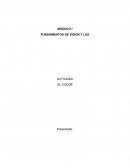 Actividad Fundamentos de visión y luz. El color