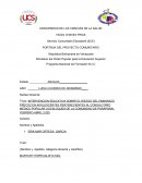 INTERVENCION EDUCATIVA SOBRE EL RIEZGO DEL EMBARAZO PRECOZ EN ADOLESCENTES