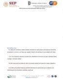 ENSAYO CADENA DE SUMINISTROS