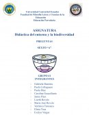 Didáctica del entorno y la biodiversidad