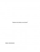 Actividad práctica - Caso 1: Remolques Caradú