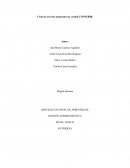 Momento de verdad y ciclo de servicio