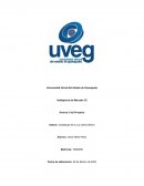 Avance 1 del Proyecto Inteligencia de Mercados V2