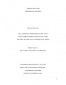 Ing metodos aplicada ARK- SOLUCIONES ARQUITECTONICAS S.A.S