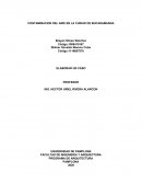 CONTAMINACION DEL AIRE EN LA CUIDAD DE BUCARAMANGA