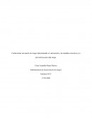 Iacc Confeccionar una matriz de riesgos determinando su valorización y las medidas correctivas y/o preventivas para cada riesgo.