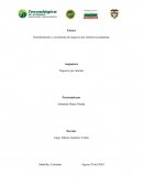 Transformación y crecimiento de negocios por internet en pandemia