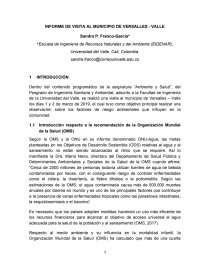 INFORME DE VISITA AL MUNICIPIO DE VERSALLES - VALLE. Página 1