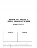 PREVENCIÓN DE RIESGOS INFORME DE CIERRE PROYECTO empresa APIA S.A