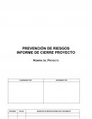 PREVENCIÓN DE RIESGOS INFORME DE CIERRE PROYECTO empresa APIA S.A
