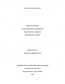 Acción constitucional para solucionar el problema