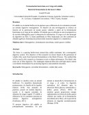 Fermentación bacteriana en el ciego de los caballos
