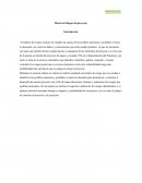 Matriz de Riegos del proyecto