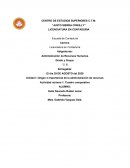 Antecedentes mexico europa recursos humanos