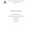 UNA MIRADA EVOLUTIVA HACÍA LA INGENIERÍA