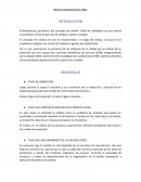 Autores de la calidad