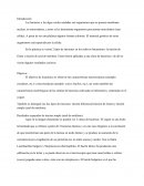 Las bacterias y las algas verdes azuladas