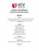 ORGANIZACIÓN DESCENTRALIZADA Y FUNCIONAL DEL ESTADO PERUANO