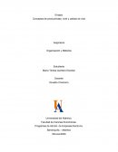 Conceptos de productividad, nivel y calidad de vida