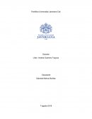 Globalización: definición de dos autores