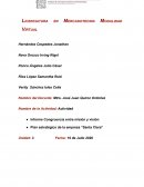 Informe Congruencia entre misión y visión. Plan estratégico de la empresa “Santa Clara”