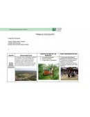 Actividad 1 Trabajo en equipo