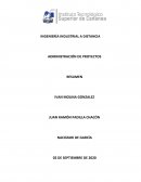 FASES DE LA ADMINISTRACIÓN DE PROYECTOS