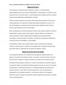 PRESUPUESTO FINANCIERO