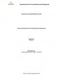 Ensayo Importancia De Un Procedimiento De Emergencia
