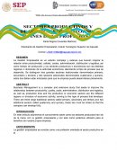 Sectores productivos en la gestión empresarial