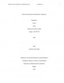 Proyecto de Gerencia de producción (Entrega 1)