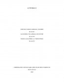 Ensayo - Papeles de trabajo para la auditoría de sistemas computacionales