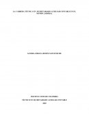 Tecnico en secretariado auxiliar contable