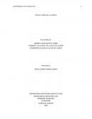 Articulo análisis del conflicto