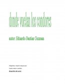 Dónde vuelan los condores