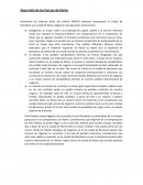 Desarrollo de las fuerzas de Porter